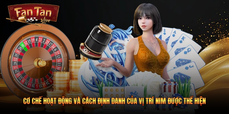 Cơ chế hoạt động và cách định danh của vị trí Nim được thể hiện